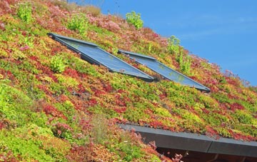 Hilsea living roof systems