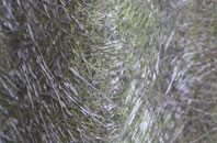 Hilsea fibreglass roof work